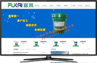 松江長(zhǎng)期企業(yè)網(wǎng)站服務(wù) 專(zhuān)業(yè)設(shè)計(jì)、無(wú)憂維護(hù)與托管解決方案